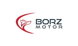 Borz Motor / Web Tasarım